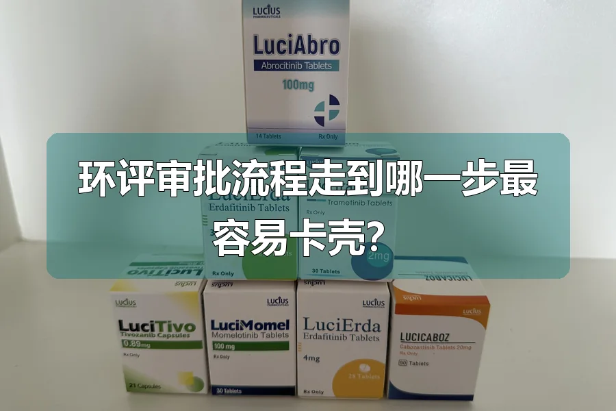 环评审批流程走到哪一步最容易卡壳？